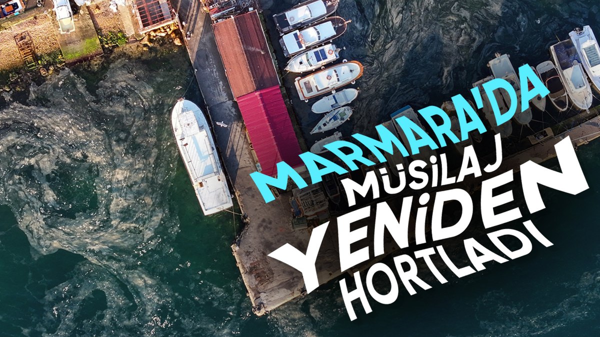Marmara Denizi’nde müsilaj paniği: Yeniden görülmeye başlandı