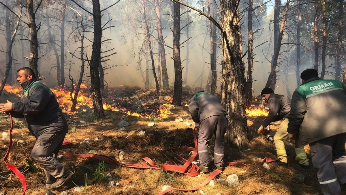 Antalya’da orman yangını korkuttu