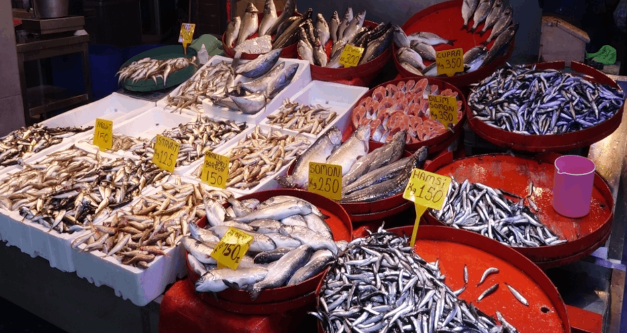 Palamut devri kapandı: Yerini diğer balıklara bıraktı